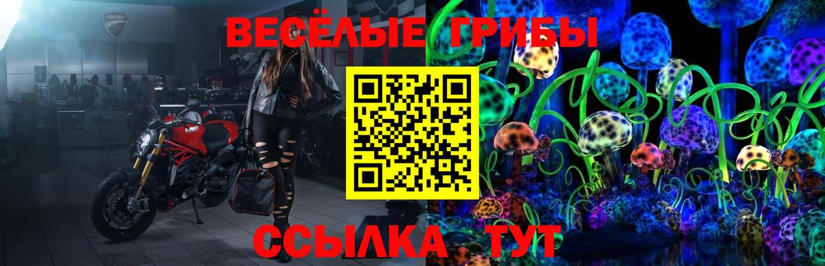 купить  сайты  Вход с VPN  Галлюциногенные грибы мицелий  Борзя  Псилоцибиновые грибы GOLDEN TEACHER 